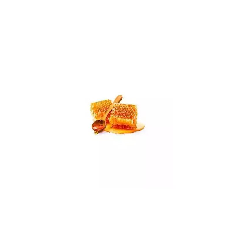 SUPPORT INOX ROND AVEC 3 PIEDS EN INOX 18/10 POUR MATURATEUR 25-50KG